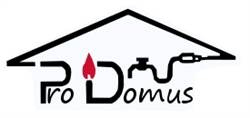 Prodomus Roşiorii de Vede, Roşiori de Vede