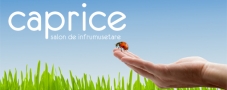 Caprice Beaute SRL, Oradea