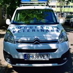Crystal Vet - Urgente Veterinare Non Stop, Bucureşti