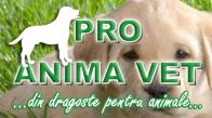 PRO ANIMA VET S.R.L.- FARMACIA DOMENII, Bucureşti