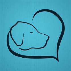 Hera's Clinic Vet, Bucureşti