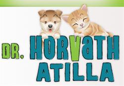Dr. Horvath S.r.l, Timişoara