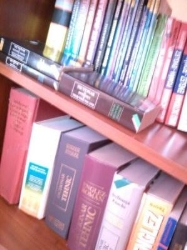 Lupu Diana - Traducator Autorizat Engleza, Franceza, Braşov