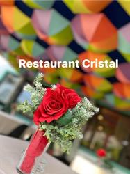 Pensiunea Cristal, Piteşti