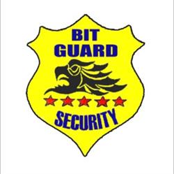 Bit Guard Security, Paşcani
