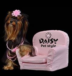Daisy Pet Style, Arad