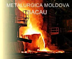 Mecanica Energotrans, Bacău