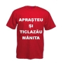Alotti Business SRL, Baia Mare