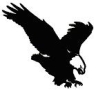 Falcon Computers SRL, Afumaţi