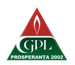 Pro Speranta 2002 S.r.l. - Service Montaj, Piteşti