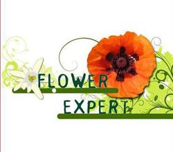 S.C. Flower Expert S.R.L., Bucureşti