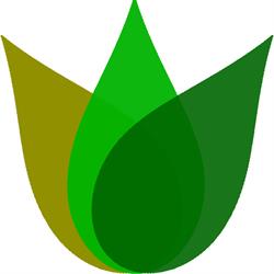 SC Seoweb Seco SRL, Slatina