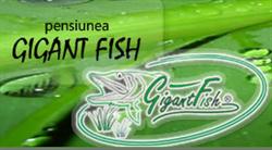 Pensiunea Gigant Fish, Mila 23