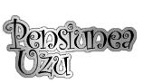 Pensiunea UZU, Dărmăneşti