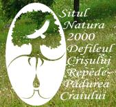 Padurea Craiului, Oradea