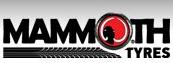 Mammoth Tyres SRL, Târgu Mureş