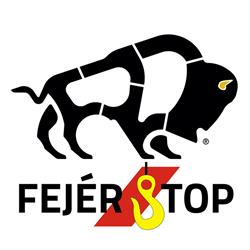 Fejer Top, Tărlungeni