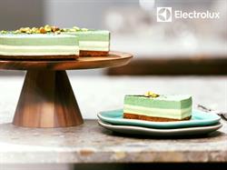 SC Electrolux ROMANIA SA, Satu Mare