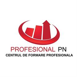S.C. Profesional PN S.R.L, Sibiu