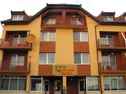 Pensiunea Larisa, Arad