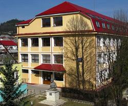 Colegiul National Avram Iancu, Câmpeni