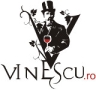 Vinescu Best Time Investments Ag SRL, Bascov