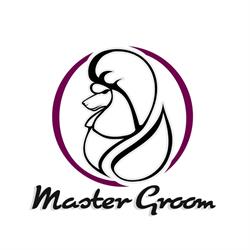 Master Groom, Braşov