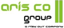 Aris Co Group, Timişoara