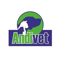 Spital Andivet SRL, Deva