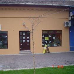 Corbeanu Miron I.i., Carei