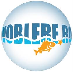 Voblere, Timişoara