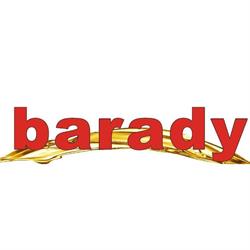 S.c. Barady Services S.r.l., Focşani