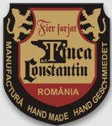 Tinca Constantin, Voşlăbeni