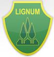 SC Ocolul Silvic Lignum SRL, Dărmăneşti