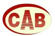 Contabilitate Si Audit Business SRL, Bucureşti