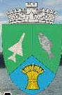 Primaria Comunei Borcea