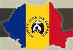 Asociatia Mioritic Club din Romania, Timişoara
