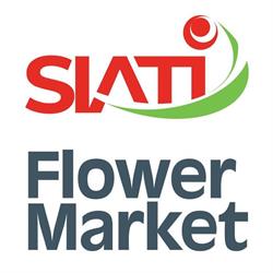 Floraria SIATI Ploiesti, Blejoi