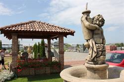 SVD bau, Satu Mare