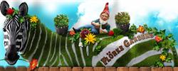 S.C. Florke Production S.R.L, Daia