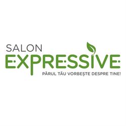 Salon Expressive, Satu Mare