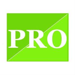 Weblike PRO, Oradea