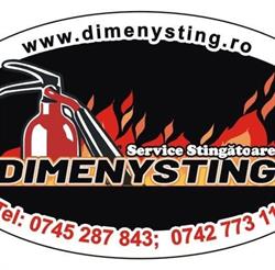 SC Dimenysting SRL, Crasna