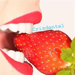 Crisdental, Floreşti