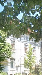 Direcţia Judeţeană pentru Cultură Dolj, Craiova