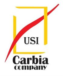 Carbia Company, Satu Mare