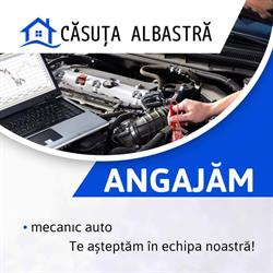 Casuta Albastra, Petroşani
