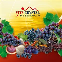 Vita Crystal Research, Miercurea-Ciuc