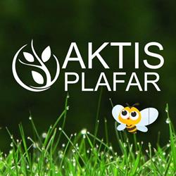 Aktis Plafar Husi