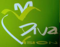 S.C. Diva Vision S.R.L., Braşov